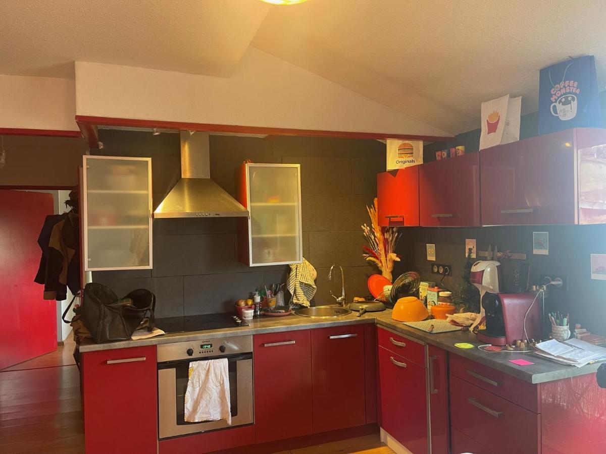 Appartement Au Centre Ville De Toulouse Extérieur photo