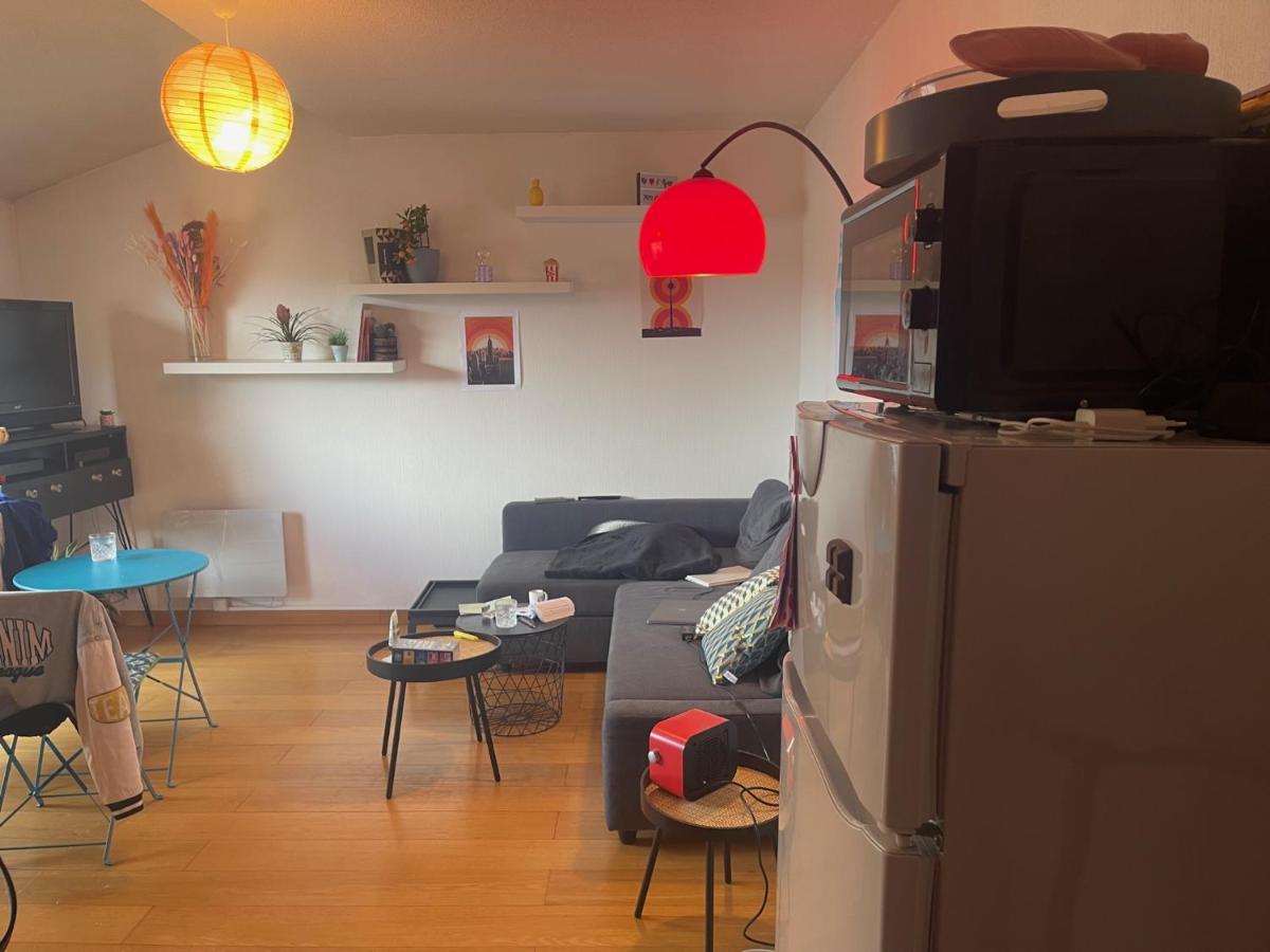 Appartement Au Centre Ville De Toulouse Extérieur photo